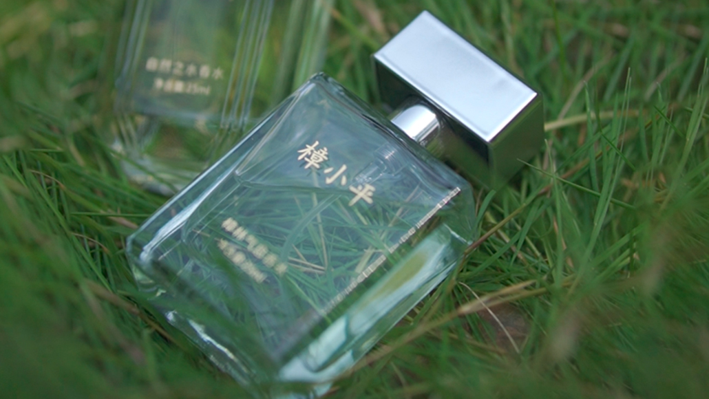 樟林气息香水