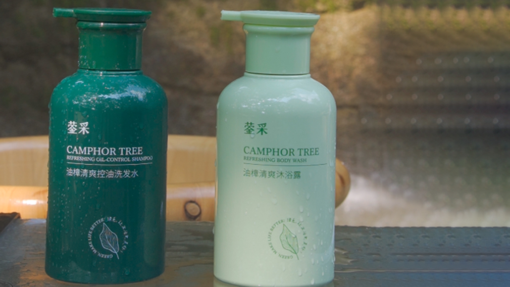 油樟清爽控油洗发水