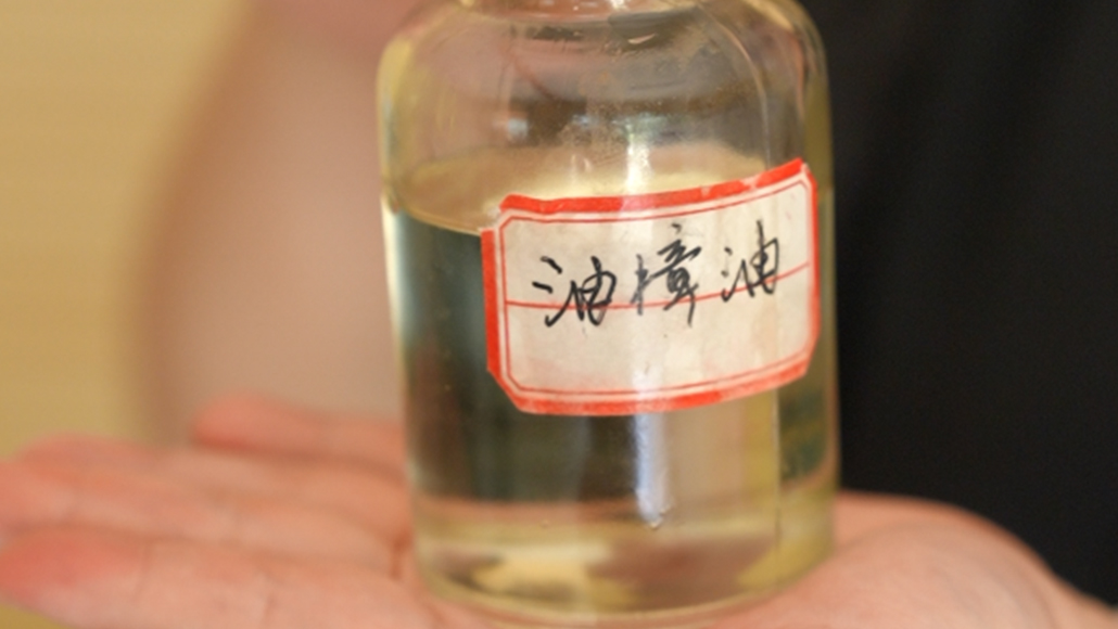 油樟油